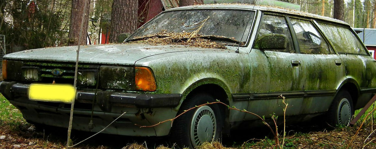 ����� ��� ������