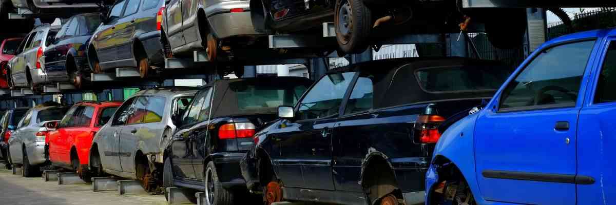 ���� ����� ������ ������